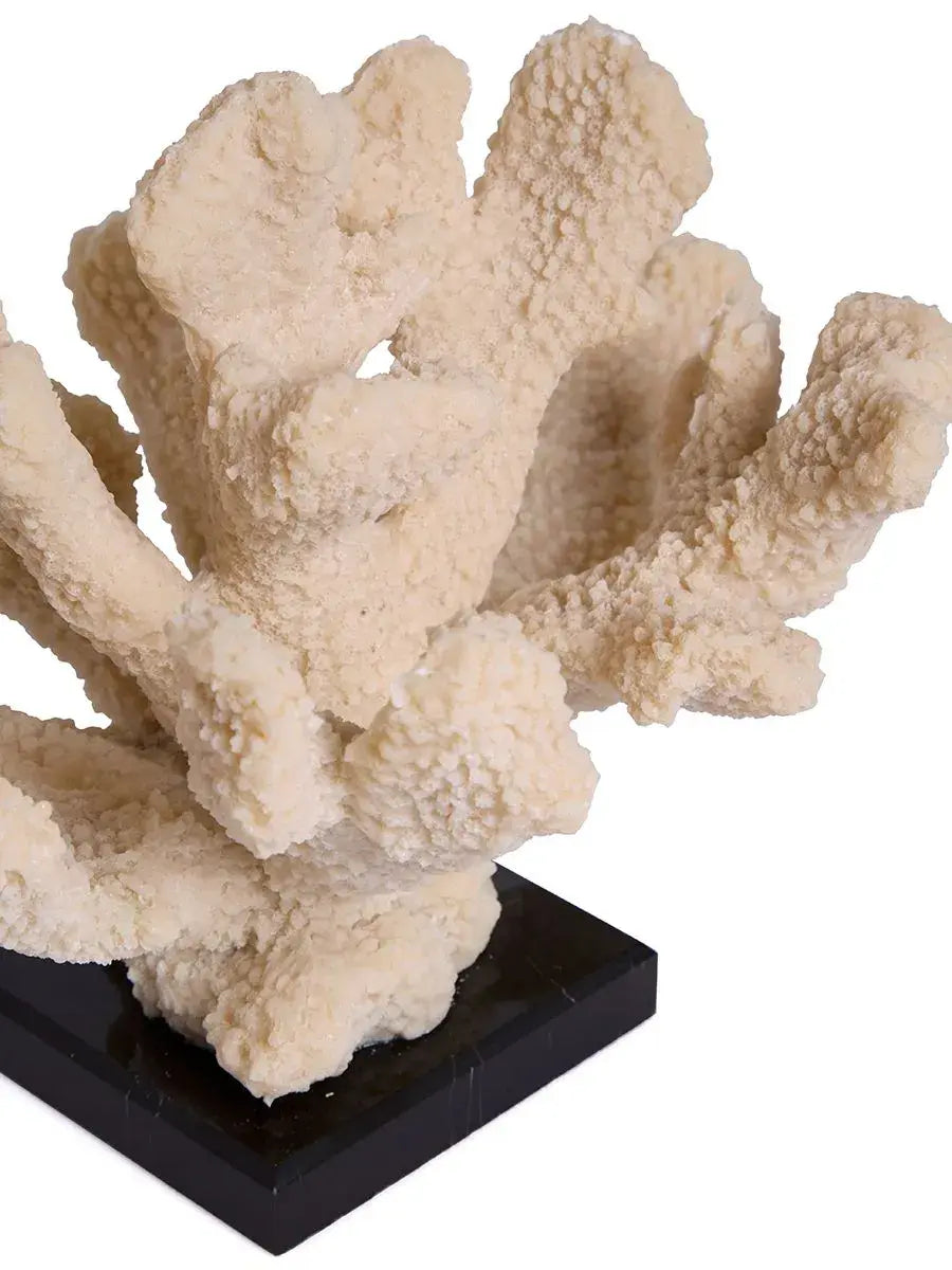 Faux Coral