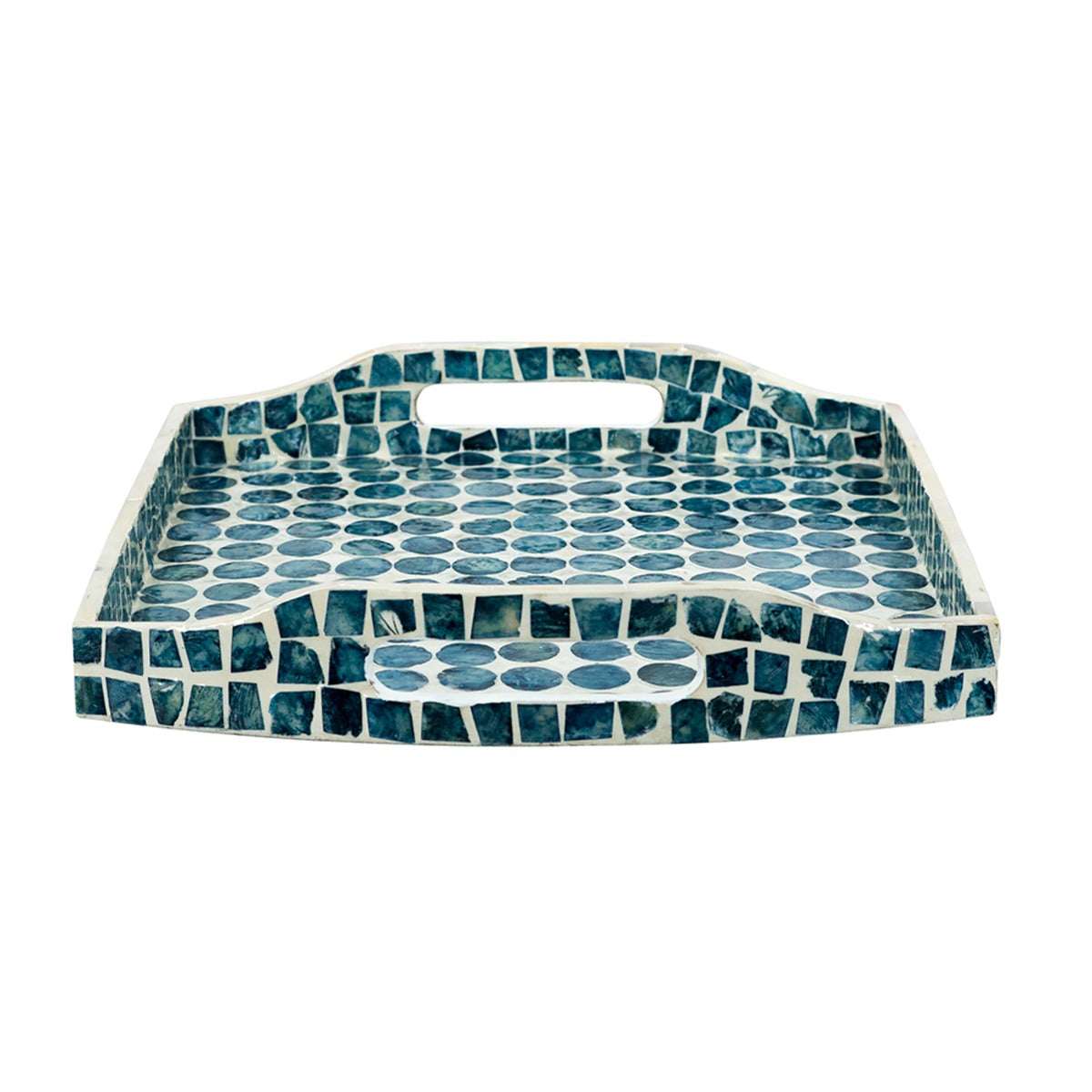 Creative Curved Blue Shell Tray