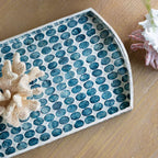 Creative Curved Blue Shell Tray