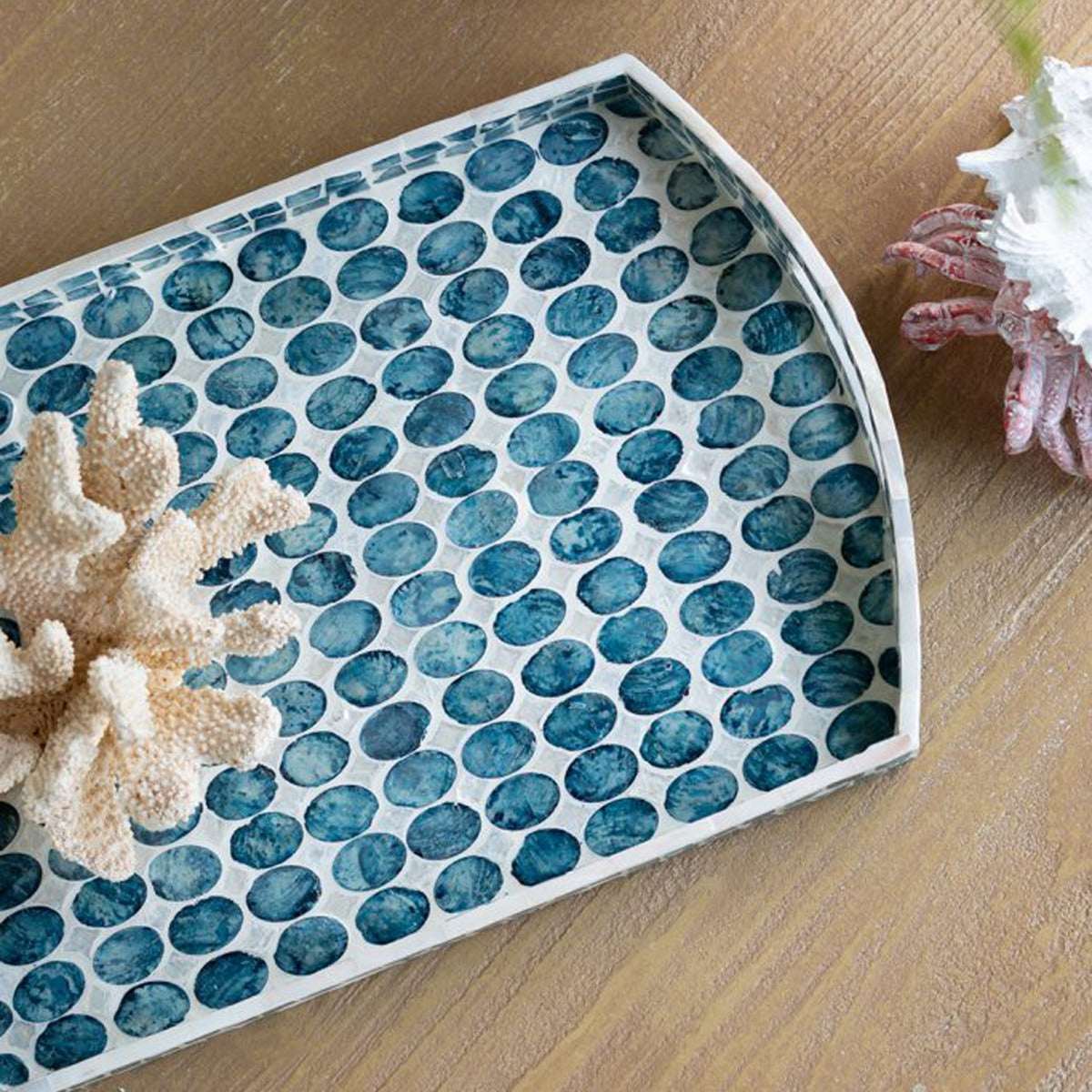 Creative Curved Blue Shell Tray