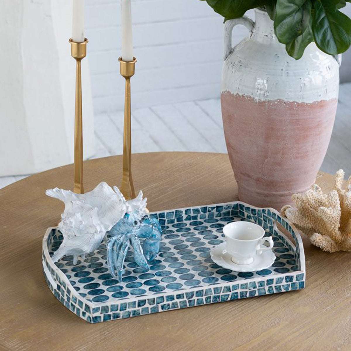 Creative Curved Blue Shell Tray