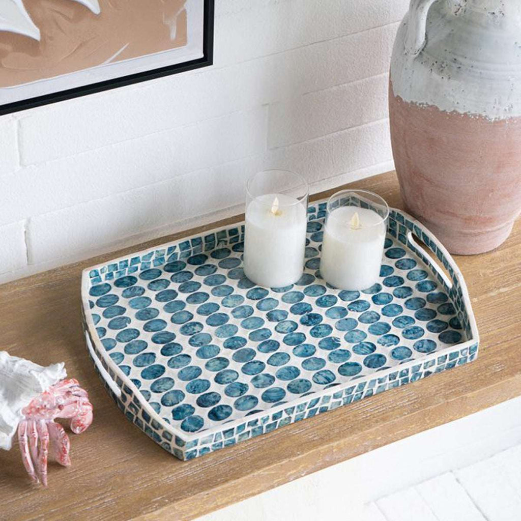 Creative Curved Blue Shell Tray