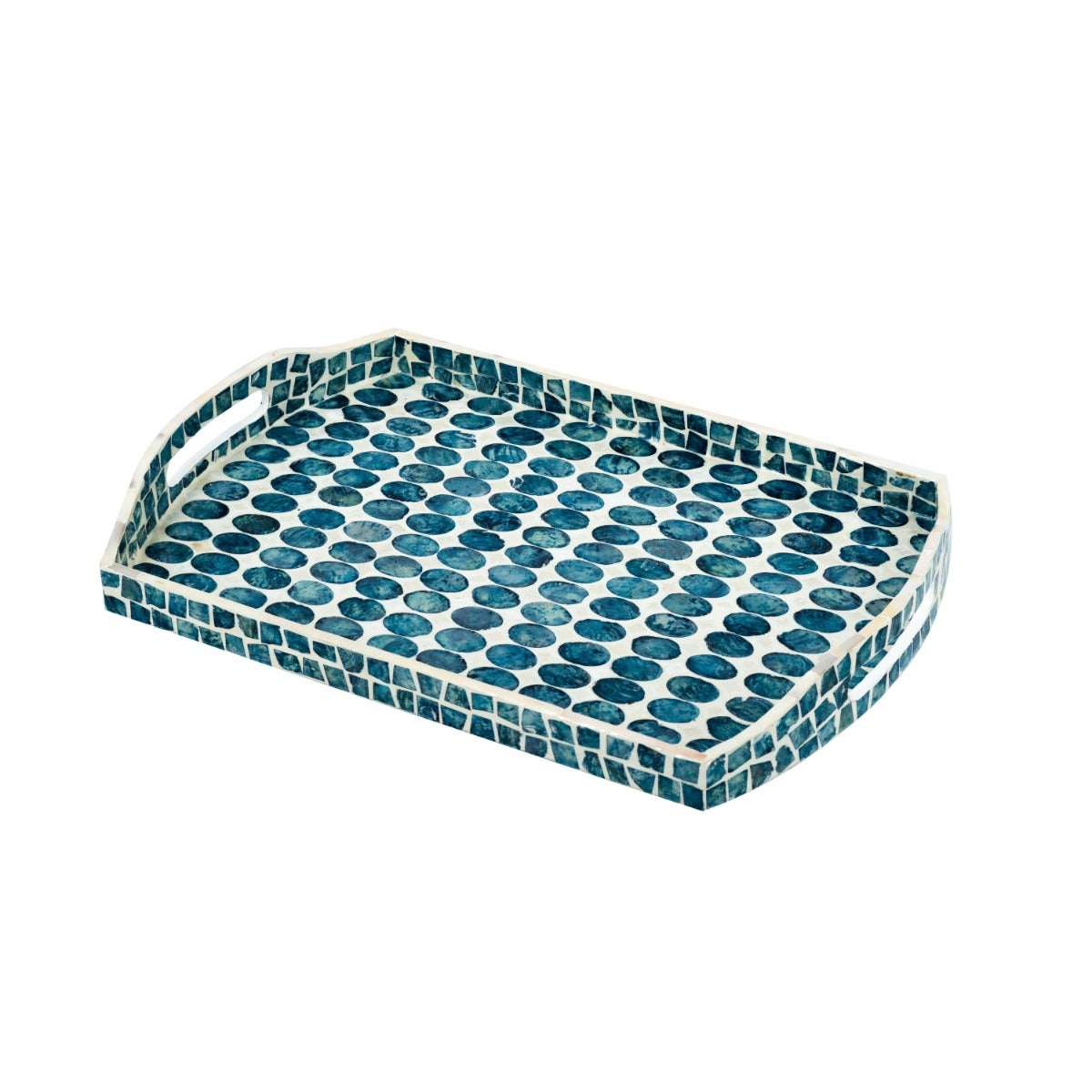 Creative Curved Blue Shell Tray