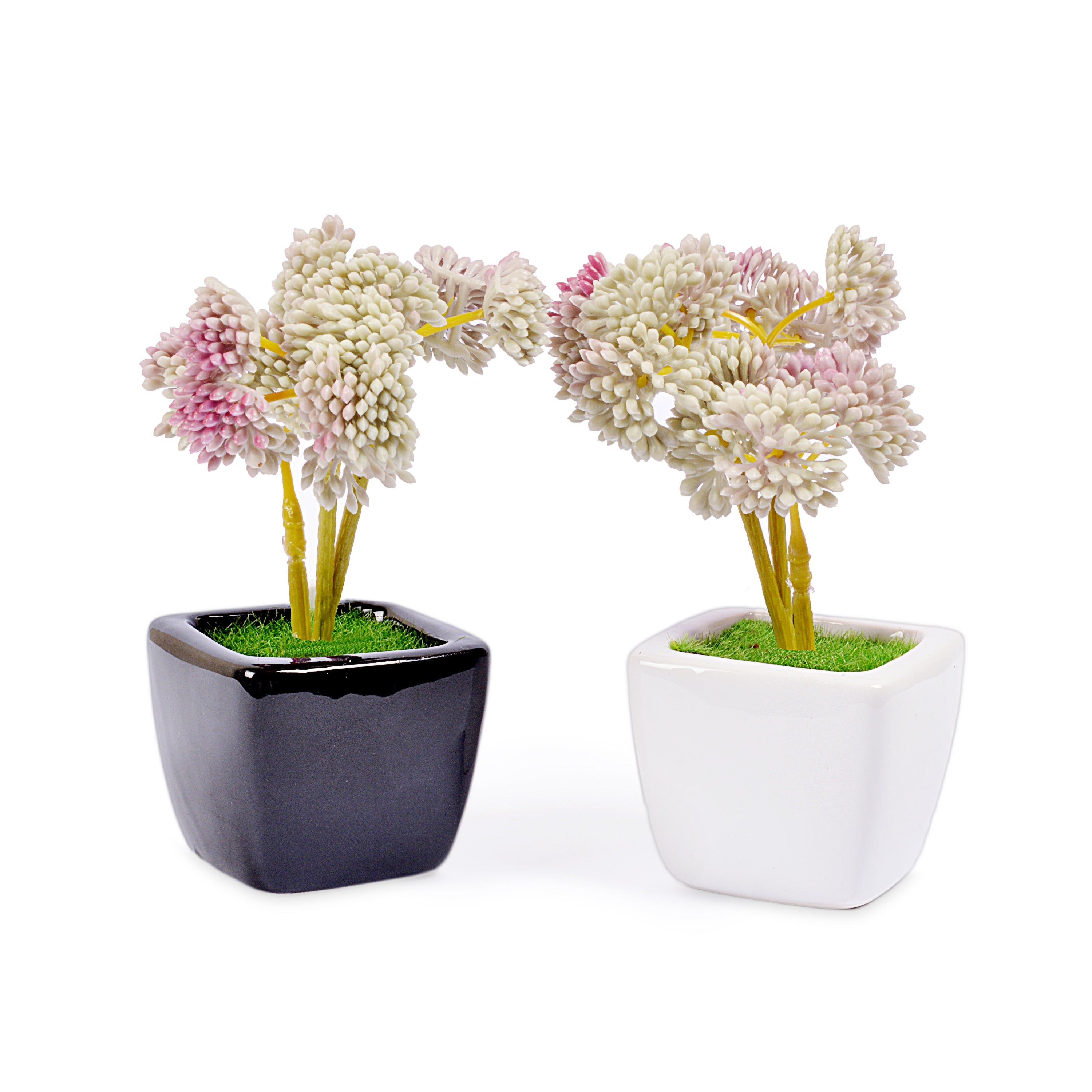 Small Ceramic Decorative Planter (set of 2)