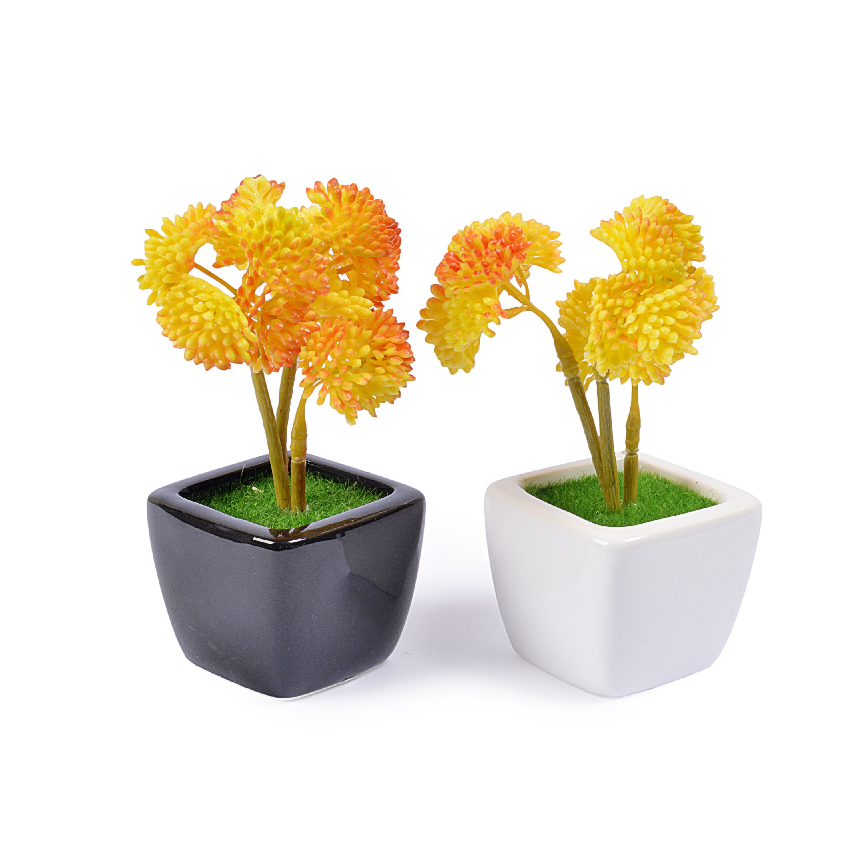Small Ceramic Decorative Planter (set of 2)