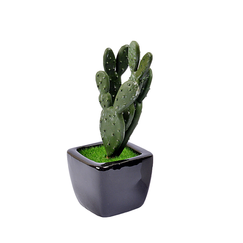 Small Ceramic Decorative Planter (set of 2)