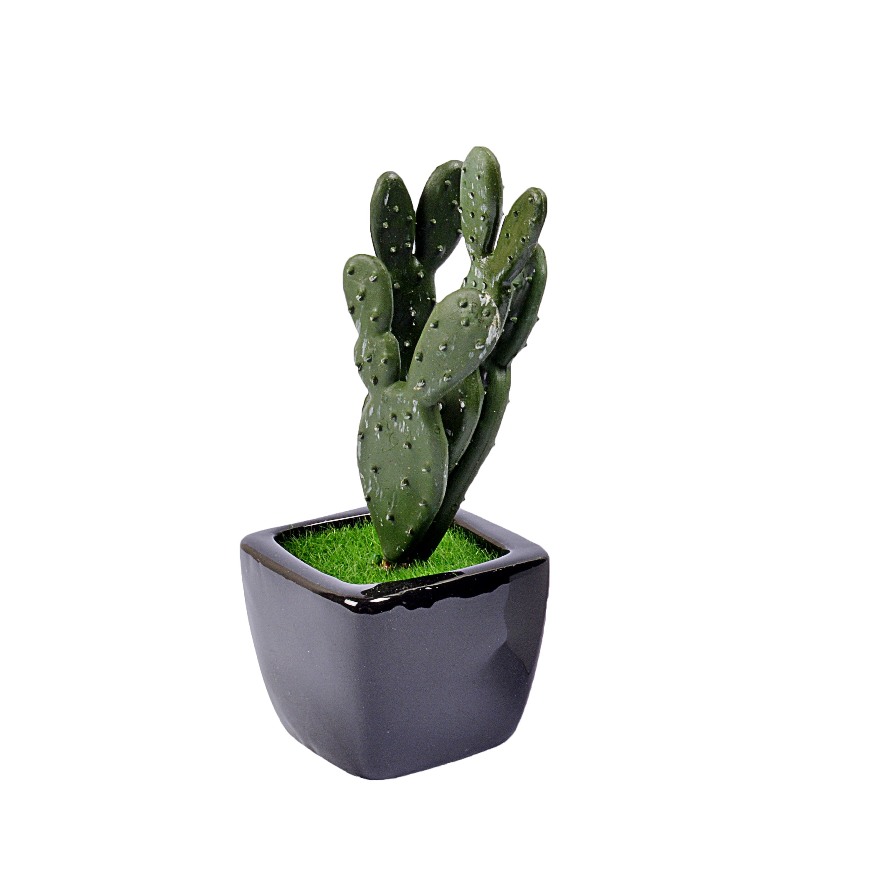 Small Ceramic Decorative Planter (set of 2)