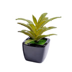 Small Ceramic Decorative Planter (set of 2)