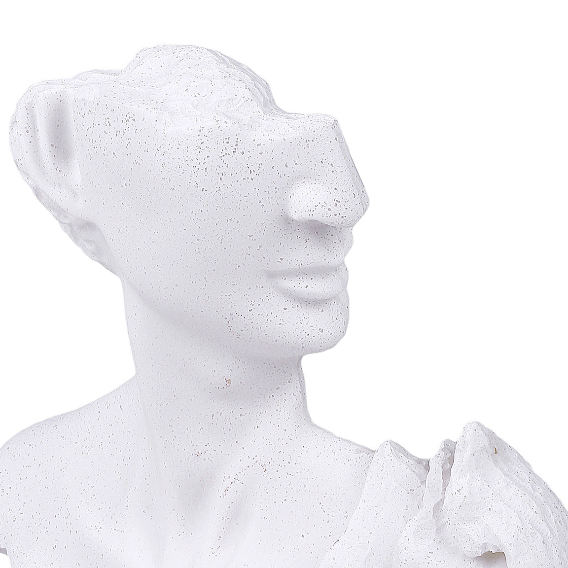 Mistral Face Sculpture