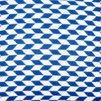 Blue & White Pattern Cushion Cover