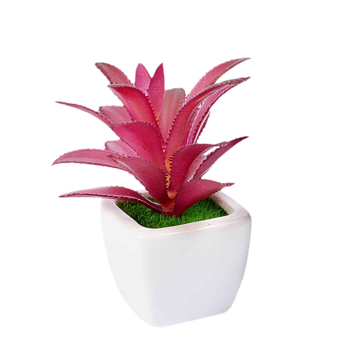 Small Ceramic Decorative Planter (set of 2)