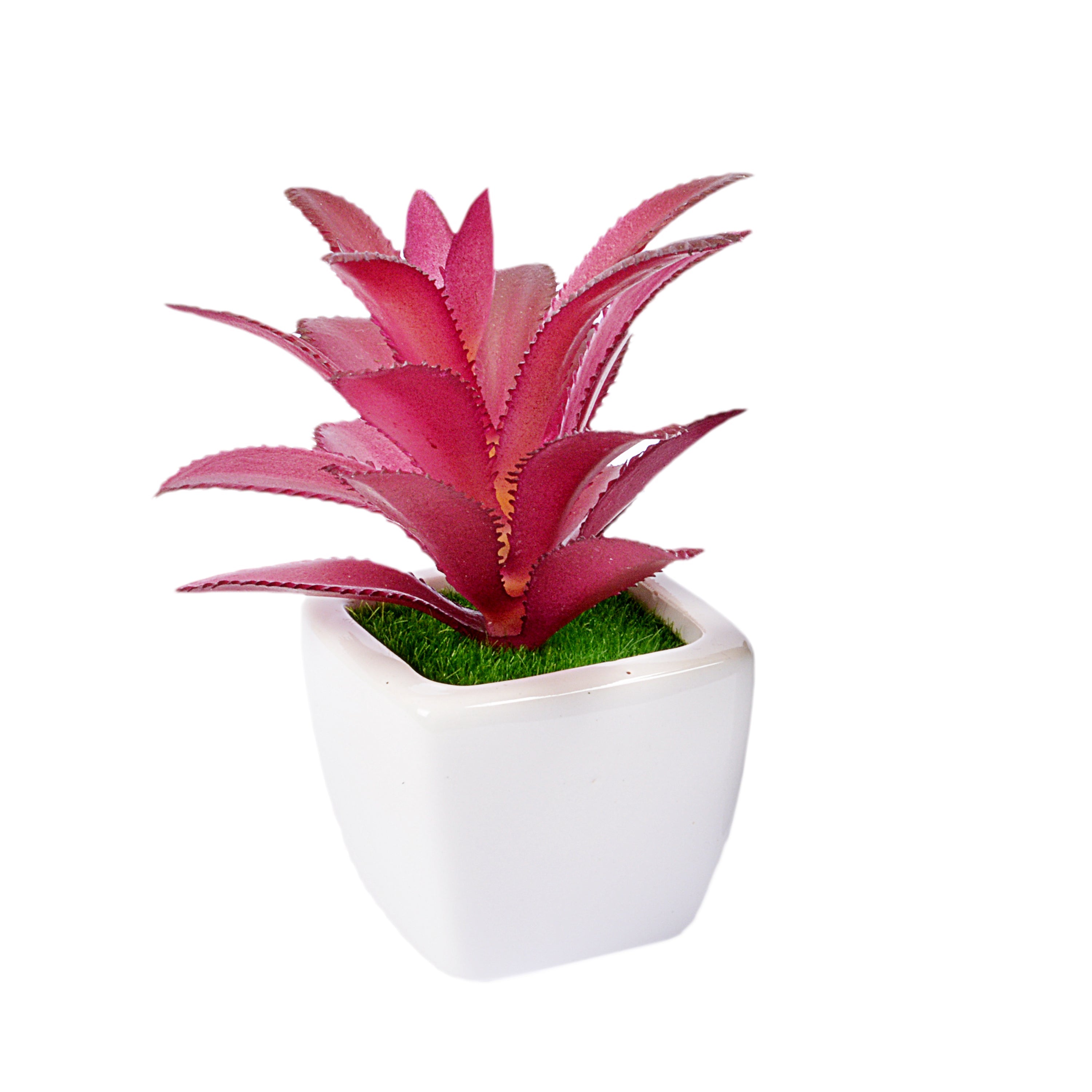 Small Ceramic Decorative Planter (set of 2)
