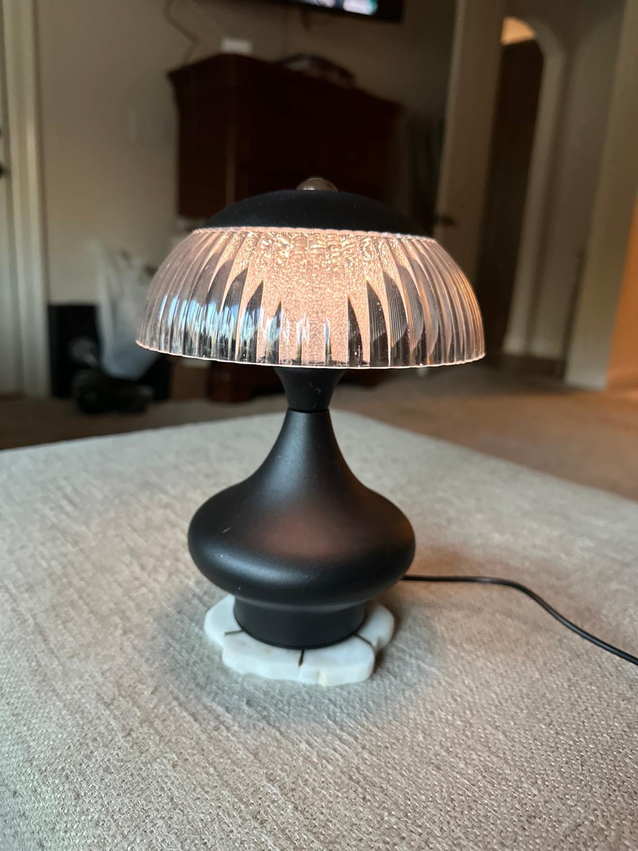 Ahshenya LED Table Lamp