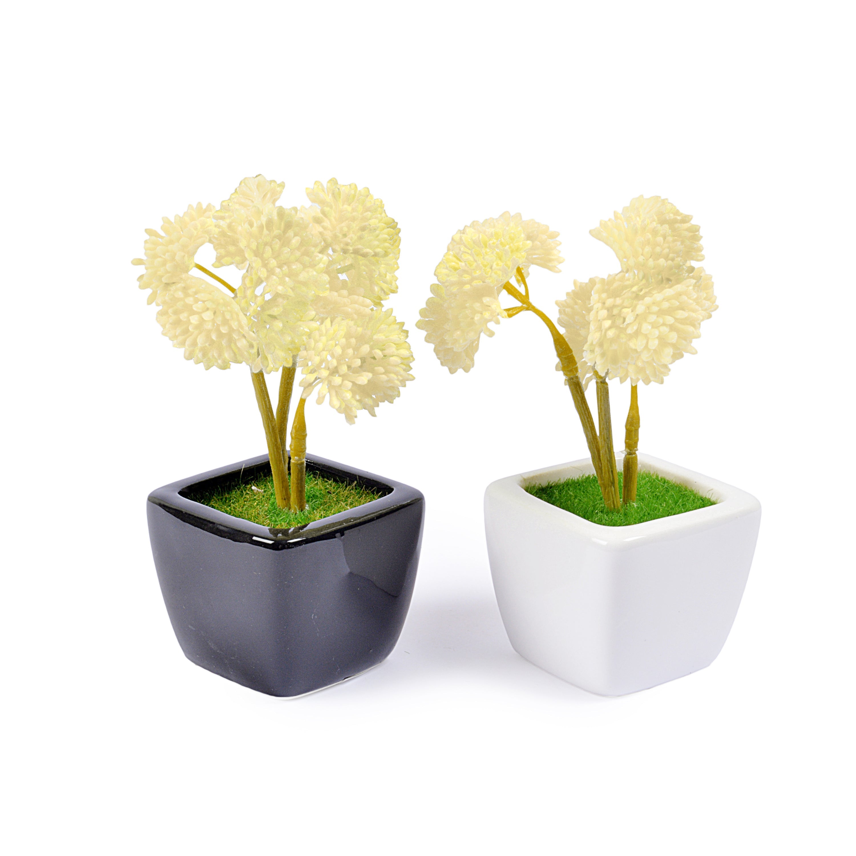 Small Ceramic Decorative Planter (set of 2)